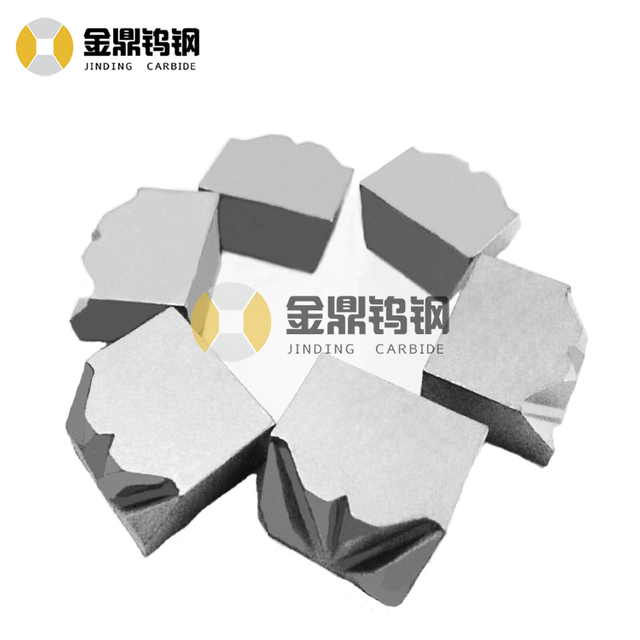 Manufacturer Customized Cemented Carbide Nail Bits, Tungsten Carbide Nail Die/Mold for Fasteners