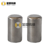 Zhuzhou Manufacturer Cemented Tungsten Carbide Stud 